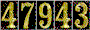 Hit Counter