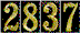 Hit Counter