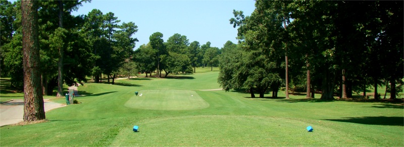 Name Golf Course Hole 1 - Tee Shot