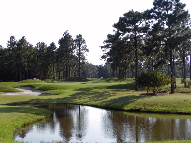 Pine Forest Golf Club - Par 3 Hole 5